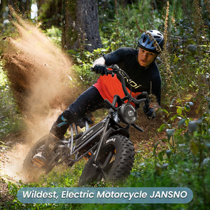 Fast EU Warehouse ebike bicicleta de ciudad eléctrica híbrida 750W para adultos 48V bicicleta eléctrica para hombres elektric e bike 250W 500W - Product Image 6