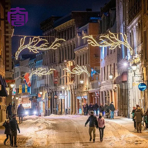Decoración Navideña Personalizada con Motivos 3D Iluminados con LED, Marco de Hierro, Decoración de Calle para Exteriores, Clasificación IP65, Fácil de Instalar - Product Image 5