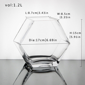 Creatieve en gepersonaliseerde glazen aquariums voor vissen, geometrische pentagonale miniatuur aquariums, zeer transparante desktop aquariums - Product Image 3