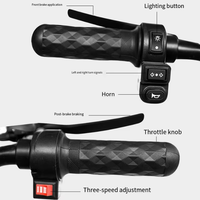 Nouveau Vélo Électrique Urbain 14 Pouces à Vendre, Moteur Électrique Sans Balais 350W 48V, Charge Utile 200kg, 2 Places, Phare LED