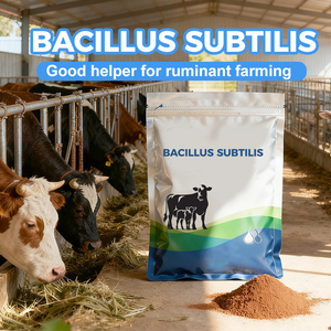 Пробиотик для биофлока для рыбоводства Bacillus Subtilis для коровы - Product Image 4