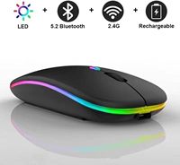 Souris sans fil ergonomique RGB 2,4 G pour ordinateurs portables Apple, vente en gros d'usine, souris de jeu mini rechargeable sans fil BT rétroéclairée
