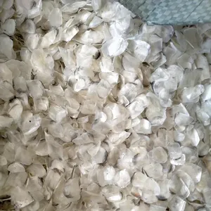 콜라겐을위한 스케일 말린 생선 저울 베트남에서 최저가 말린 해산물-whatsap 0084989322607