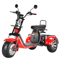 Scooter Eléctrico de 3 Ruedas Citycoco 2026 de 3000w/4000w con Dos Baterías Extraíbles de 60v40H/20AH / Triciclo Eléctrico