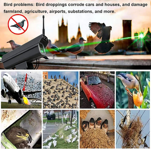 Répulsif laser vert haute puissance multi-modes pour oiseaux et insectes, dissuasif intelligent pour l'agriculture et les fermes - Product Image 6