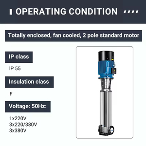 Pompe centrifuge verticale multi-étages 2 pôles série CDMF IP55 TEFC 33 bars avec câble de 4m à 305m pour le traitement de l'eau - Product Image 4
