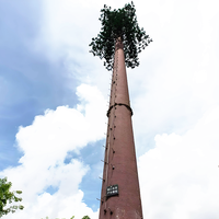Tour de télécommunication 4G 5G en acier galvanisé à chaud, type Bionic Tree Tower, avec antenne camouflage en forme de pin artificiel