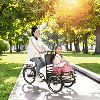 DomeRide Tricycle de loisirs transfrontalier européen à suspension avant et cadre à suspension arrière souple pour personnes âgées, capacité de charge 150 kg, 20 pouces