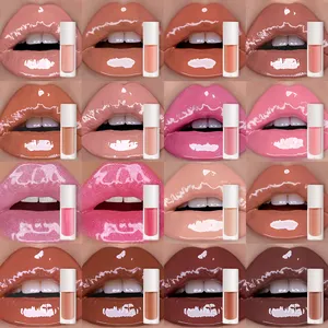 Lip Gloss pelembap 16 warna Label pribadi, Lip Gloss pelembap tahan lama kustom, Lipgloss Bibir berkilau