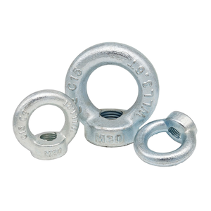 Đức tiêu chuẩn din582 mắt <span class=keywords><strong>Nut</strong></span> mạ kẽm khuôn Lug <span class=keywords><strong>Nut</strong></span> trong kích cỡ M8M10M12M16M20-M36 cho các ứng dụng hạt khác nhau - Product Image 2