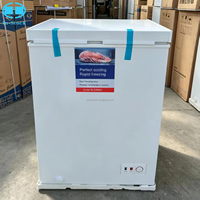 Réfrigérateur horizontal Z 100L 110v à faible bruit et à économie d'énergie pour la conservation des aliments
