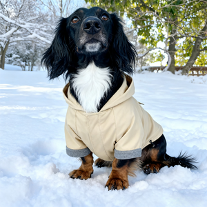 Luxury Winter All-Weather <strong>Dog</strong> Jacket Waterproof Puffer Pet <strong>Coat</strong> for Bassotto Wiener Dachshund Hamburg Teckel <strong>Sausage</strong> Polyester - Product Image 2