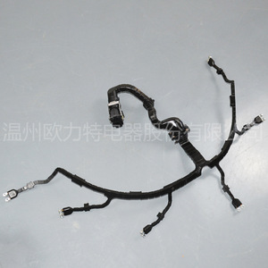 สายรัดสายไฟหัวฉีดเครื่องยนต์ orite สำหรับรถบรรทุกผู้ชาย51254136417 Ip65 - Product Image 1