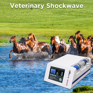 Máquina Portátil de Terapia de Ondas de Choque para Fisioterapia Veterinaria y Alivio del Dolor, para Disfunción Eréctil - Product Image 2