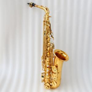 <span class=keywords><strong>Saxophone</strong></span> Alto couleur or pour débutants Prix bas d'usine - Product Image 2