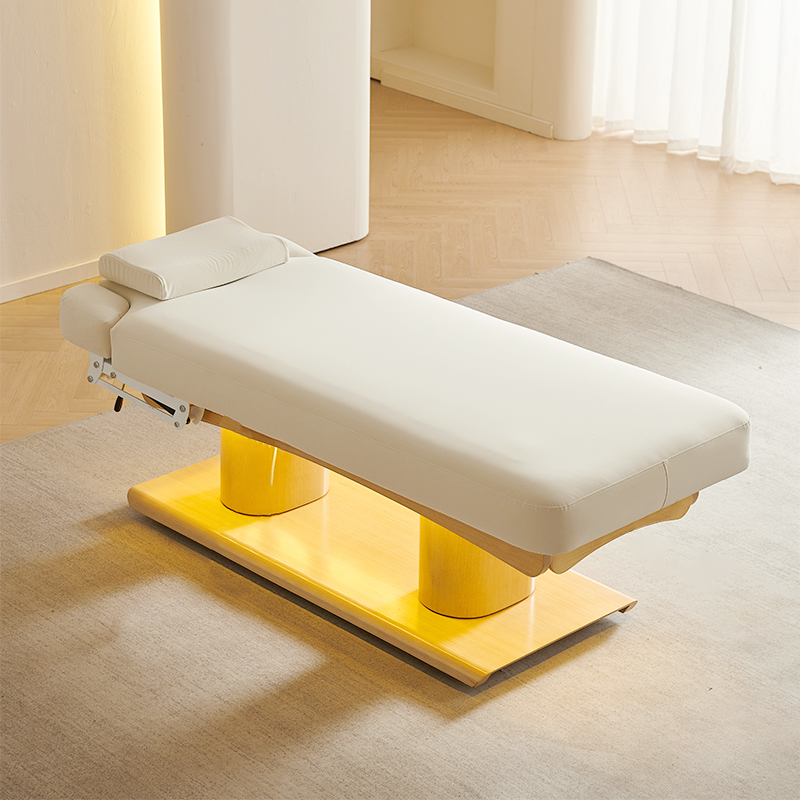2 motors (Adjust Backrest + Legrest)+ armrests
