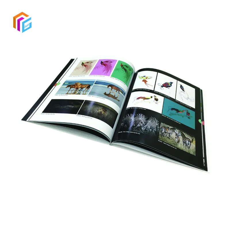 Oem Full Color Softcover Bücher Drucken Mode magazin Drucken Kunden spezifisches Taschenbuch Broschüre Broschüre Katalog Drucks ervice