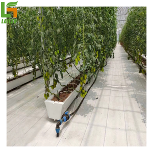<strong>Hydroponic</strong> Tomato/cucumber/<strong>pepper</strong> PVC Gutter for Greenhouse <strong>Hydroponic</strong> System - Product Image 4