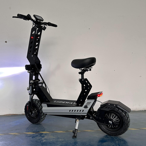13inch Ecorider Adult Fast Foldable Off Road Dual Motor <strong>Electric</strong> <strong>Scooter</strong> - Product Image 3