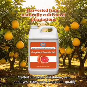 Huile Essentielle <span class=keywords><strong>de</strong></span> Zeste <span class=keywords><strong>de</strong></span> <span class=keywords><strong>Pamplemousse</strong></span> 100% Pure en Vrac, Distillée à la Vapeur, Naturelle, Répulsif Moustiques, Massage Corporel, Parfum Frais Quotidien - Product Image 3