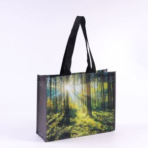 Bolsa de Compras Personalizada, Reciclable, de Tela No Tejida, con Asas, para Regalos - Product Image 1