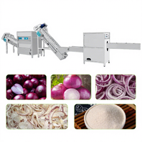 Uienpoeder Fruit Turnkey Productielijn - Automatisch 220V/380V Verwerkingsysteem met hoge capaciteit