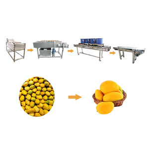 Commercial Avocado Fruit Cleaning Drying Sorting Waxing Processing Line Fresh Fruit Mango <strong>Apple</strong> Cleaning <strong>Machine</strong> - Product Image 3