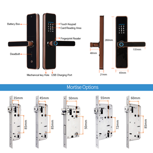 Serrure de porte intelligente numérique, personnalisée, plusieurs langues nationales, sécurité Tuya Wifi, empreinte digitale, 2022 - Product Image 5