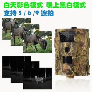 Cámara de rastreo de 12MP 1080P, IP65, impermeable, LED infrarrojo, bajo brillo, ángulo de 120 grados, <span class=keywords><strong>caza</strong></span> <span class=keywords><strong>salvaje</strong></span> con Sensor CMOS - Product Image 6