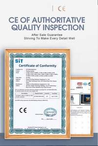 เครื่องบรรจุภัณฑ์สูญญากาศแบบกึ่งอัตโนมัติขนาดเล็กสำหรับอุตสาหกรรมคุณภาพสูงแบบสองห้องแนวตั้งที่ดีที่สุดสำหรับอาหารทะเลและผัก - Product Image 6