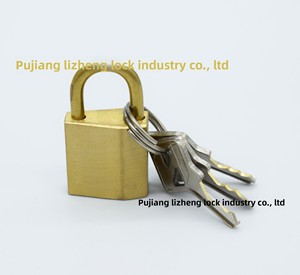 Petit <span class=keywords><strong>cadenas</strong></span> de 20 mm, type C, étanche, antirouille, pour bagages, bureau, papeterie, fabricant de cuivre Pujiang, personnalisation - Product Image 1