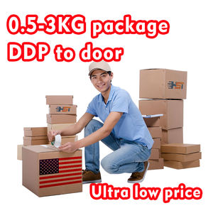 Spedizione Economica e Veloce via Aerea e Marittima DDP verso USA, Servizio di Logistica Porta a Porta con Spedizioniere - Product Image 6