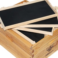 Unmontierter Langs troth Bienenstock, Deep Brood Box in Wachs getaucht mit 10 Rahmen und Kamm Foundation Sheets