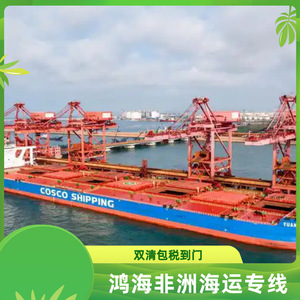 Logística de Hon Hai en África, Transporte Marítimo y Aéreo, Línea Dedicada de Carga para África - Product Image 4