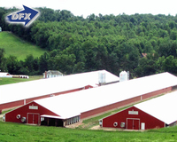 Tunnel léger ferme poulailler soudé coupe et plié maison de poulets de chair pour l'élevage de volailles hangar agricole en plastique