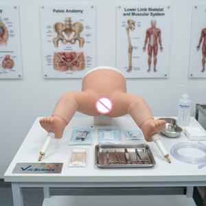 Modelo de Punción de Médula Ósea, Nueva Superficie Ósea Simulada de Tibia, Hueso Infantil - Product Image 3