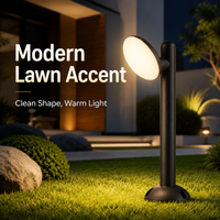 Lampe LED pour pelouse personnalisable CCT 10W, anti-corrosion salin, givrée, à angle réglable, pour hôtel, fontaine d'eau et piscine