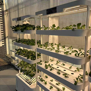 Système de jardinage hydroponique vertical intelligent d'intérieur Skyplant, système d'agriculture domestique intelligent avec composants de moteur et de pompe principaux - Product Image 1