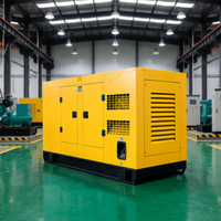 Générateur diesel silencieux de 100 kW, type insonorisé, générateur diesel triphasé 400 V, démarrage automatique pour usine industrielle