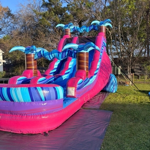 Tobogán Acuático Inflable Tropical Personalizado a Precio de Fábrica, Tobogán Inflable con Piscina para Parques de Diversiones - Product Image 2