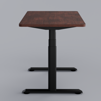 Bureau debout PRORIALS à double moteur, réglable, en acier inoxydable, ergonomique, durable, design moderne, pré-assemblé pour la maison/le bureau