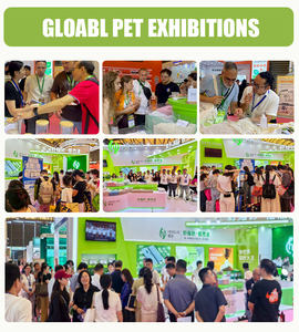 Arena para Gatos Premium de Venta Caliente, Libre de Polvo, de Rápida Absorción y Desodorizante, con Logotipo Personalizado, Mezcla de Bentonita, Arena para Gatos a Granel - Product Image 6