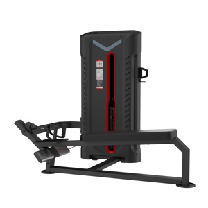 Macchina Commerciale per il Sollevamento a Seduto (Long Pull Row) per Allenamento della Forza in Palestra, Attrezzatura ODM/OEM per Esercizi <span class=keywords><strong>Schiena</strong></span> - Product Image 1