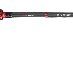 Histar Customized Honour 92g High Carbon Fishing <strong>Rod</strong> Light Weight Medium Fast Action Carp <strong>Hollow</strong> Grip Spinning/Casting <strong>Rod</strong>