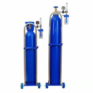 Bouteille de gaz oxygène 40L en acier 37Mn haute pression avec régulateur et chariot pour usage médical et domestique - Product Image 2