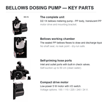Pompe doseuse à double tête en PP avec moteur 5W, pompe de dosage multicanal pour la distribution de réactifs chimiques