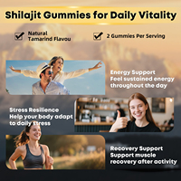 Gummies multi-herbes Shilajit avec Ashwagandha, Curcuma, Gingembre Noir pour le soutien énergétique – Marque privée OEM