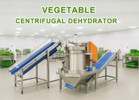 Línea de Procesamiento de Ensaladas, Máquina para Cortar, Lavar, Limpiar, Rebanar y Deshidratar Verduras, Frutas, Lechuga y Repollo