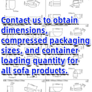 أريكة مضغوطة صغيرة بتصميم جديد لغرفة المعيشة ، أثاث منزلي شهير ، أريكة معيارية قوية تدعم الرغوة ، أريكة بمقعدين - Product Image 5