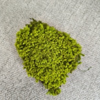 Yunnan Exportateur En Gros De Haute Qualité Intérieur Écologique Préservé Stabilisé Coussin Pôle Mousse pour La Maison Décoration Quotidienne